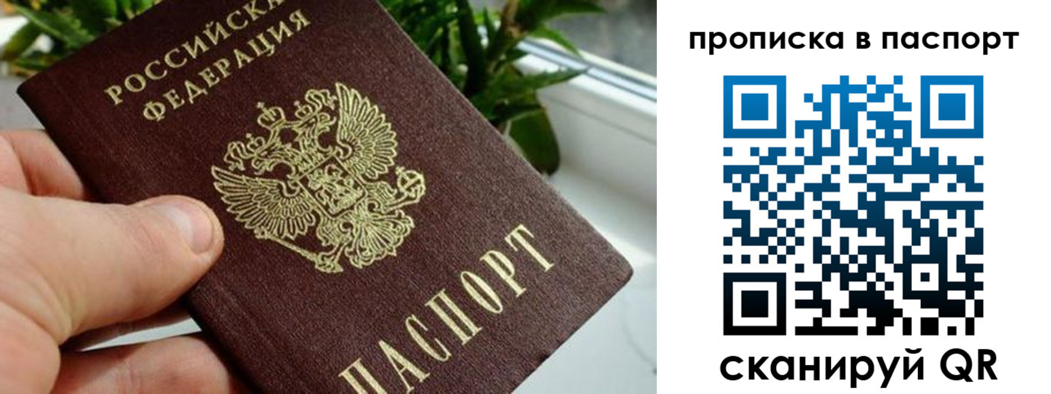 пропишу в квартире в Ковдоре